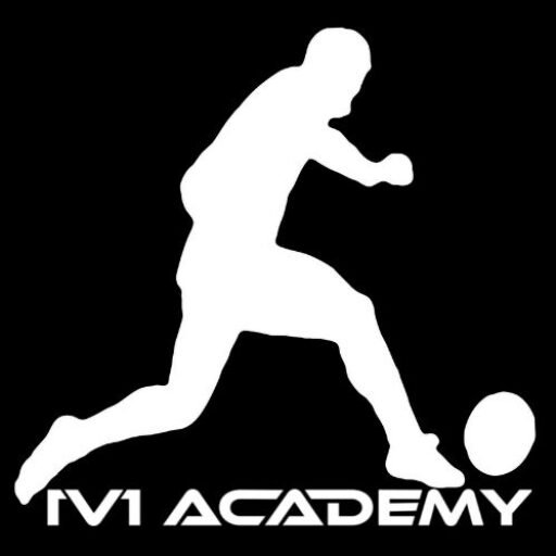 1v1Academy Logo